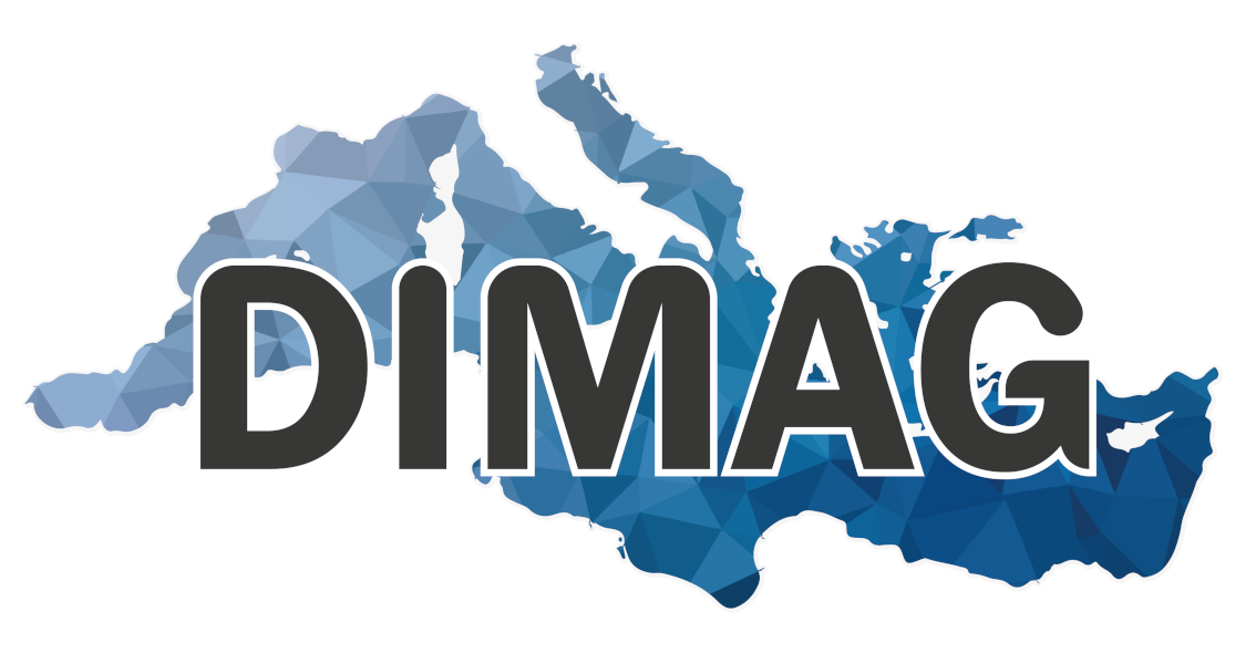 DIMAG Logo